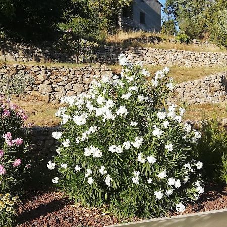 Vila La Grangette Joyeuse Exteriér fotografie